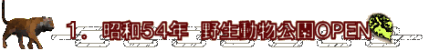 PDkC쐶OPEN