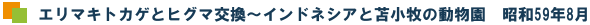 G}LgJQƃqO}`ChlVAƓϏq̓@a59N8