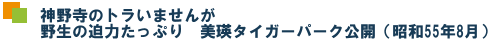 _쎛̃g܂񂪁@쐶̔͂Ղ@l^CK[p[NJia55N8j