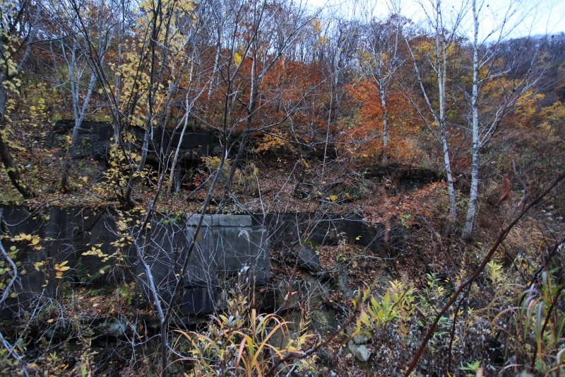 01.JPG