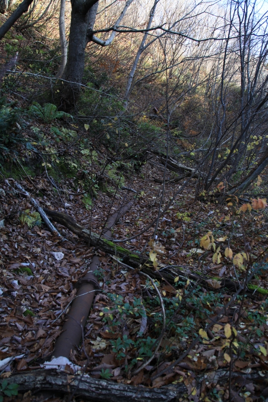 04.JPG