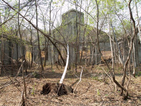 01-15.JPG