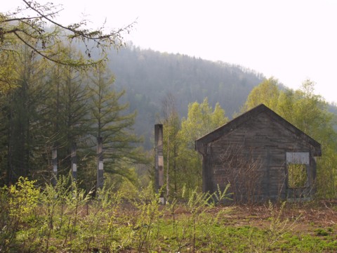 01-06.JPG