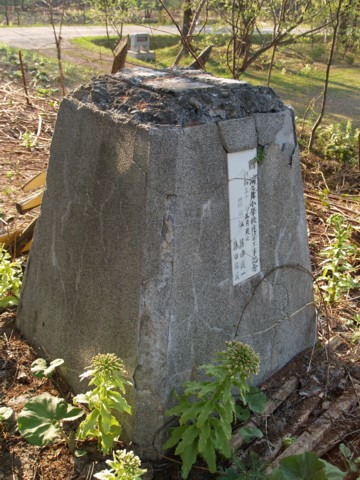 01-08.JPG