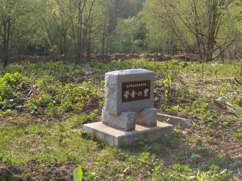 01-09.JPG