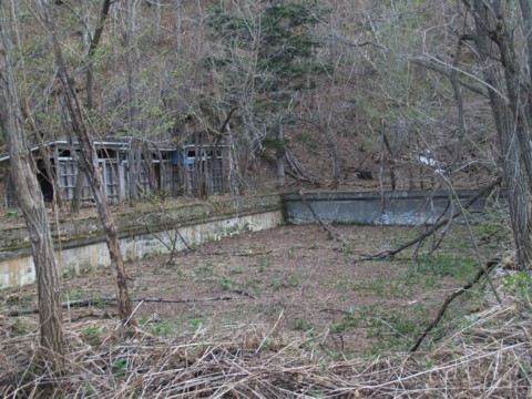 01-10.JPG