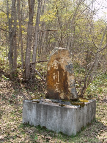 01-15.JPG