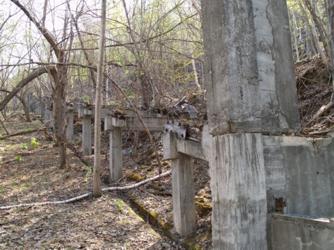 01-03.JPG