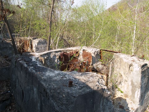 01-06.JPG