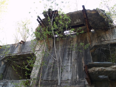 01-09.JPG