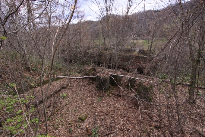 08.JPG
