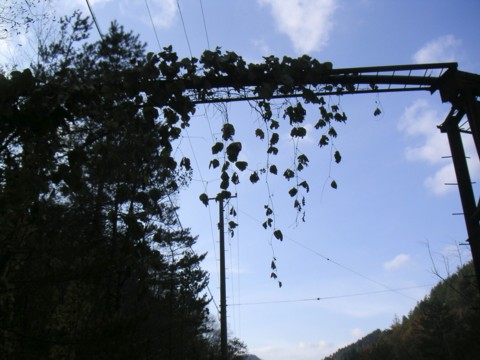 01-02.JPG