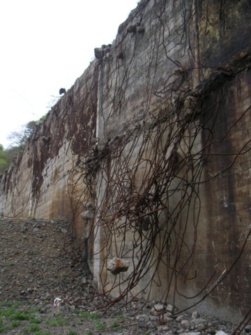 01-10.JPG