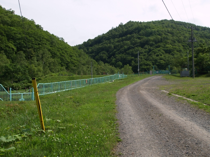 01.JPG