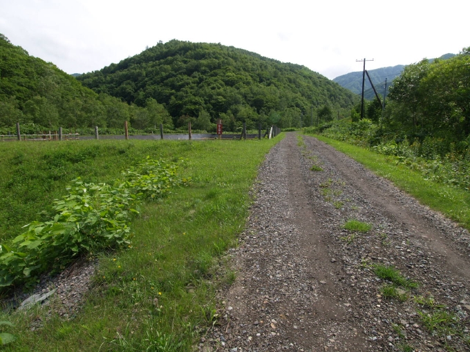 05.JPG
