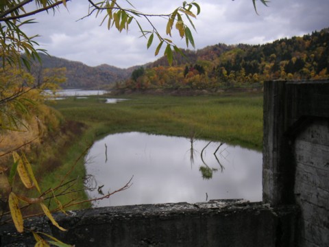 01-06.JPG