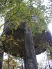 01-09_thumb.jpg