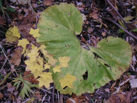 01-11.JPG
