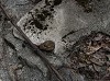 18_thumb.jpg