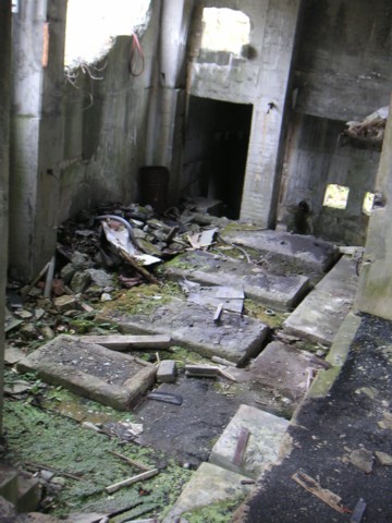 01-06.JPG