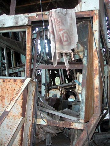 01-07.JPG