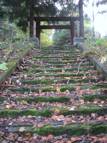 01-01.JPG