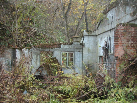 01-06.JPG