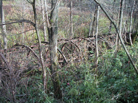 01-07.JPG