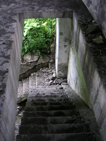 01-06.JPG