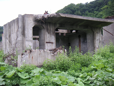 01-10.JPG