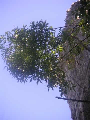 01-04.JPG