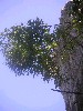 01-04_thumb.jpg