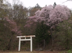 manjijin.jpg
