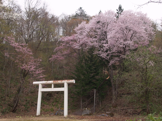 01.JPG
