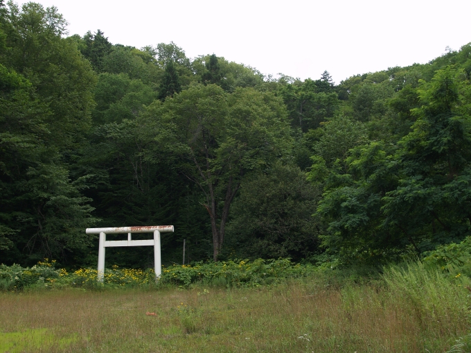 19.JPG
