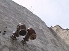 07_thumb.jpg