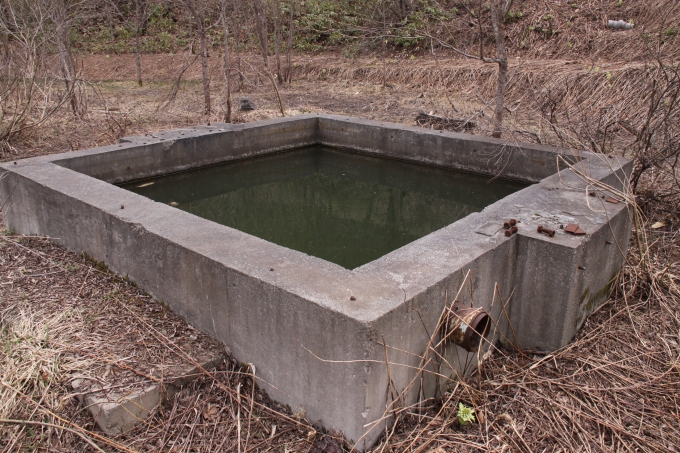 05.jpg
