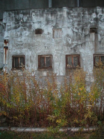 01-08.JPG