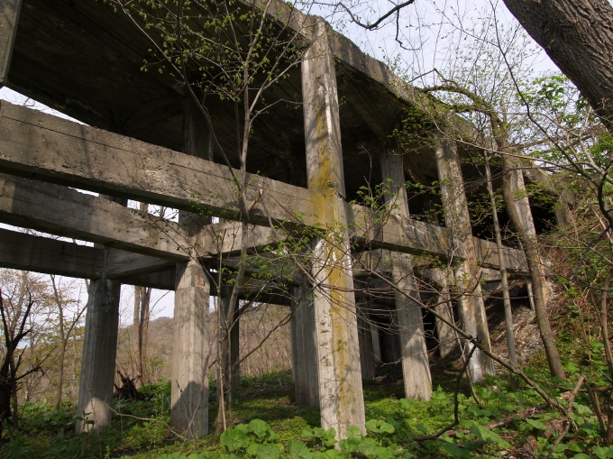 06.JPG