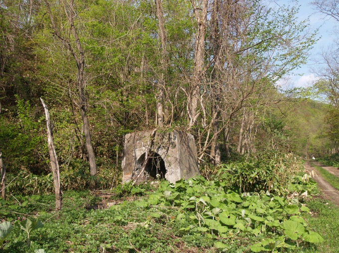 02.JPG