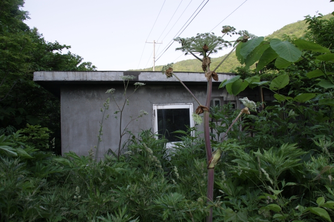 04.JPG