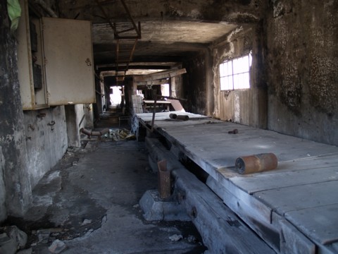01-23.JPG