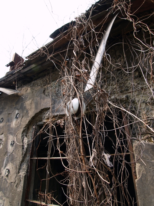 05.JPG