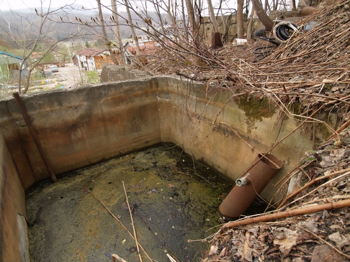 06.JPG