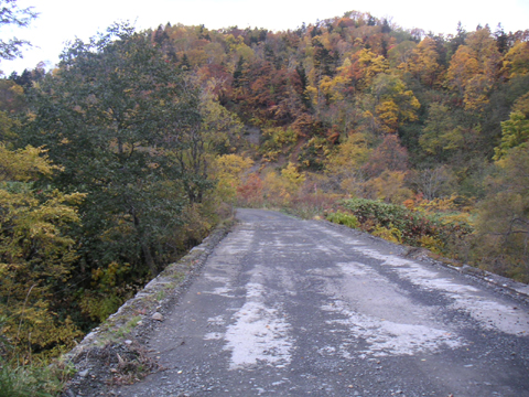 01-01.JPG