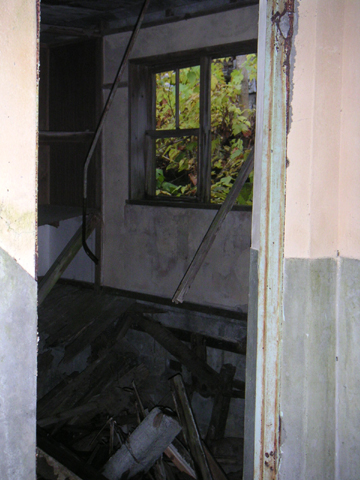01-06.JPG