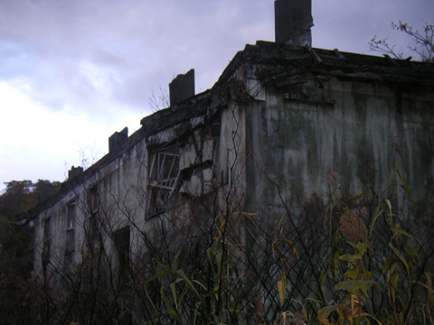 01-11.JPG