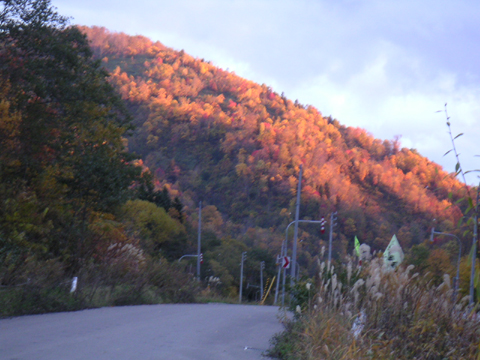 01-12.JPG