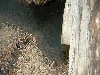 01-03_thumb.jpg