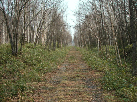 01-10.JPG